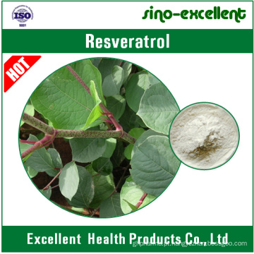 Resveratrol 98% (extracto gigante de Knotweed)